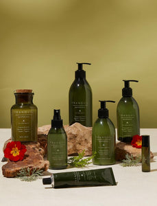 M&S